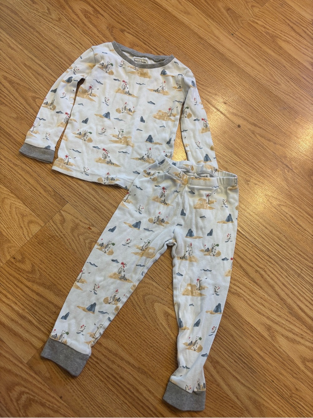 Burt’s bees baby organic cotton 2t pajamas